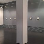 WhatsApp Image 2026-02-13 at 10.56.39 (1)