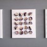 WhatsApp Image 2026-03-25 at 15.00.50 (4)